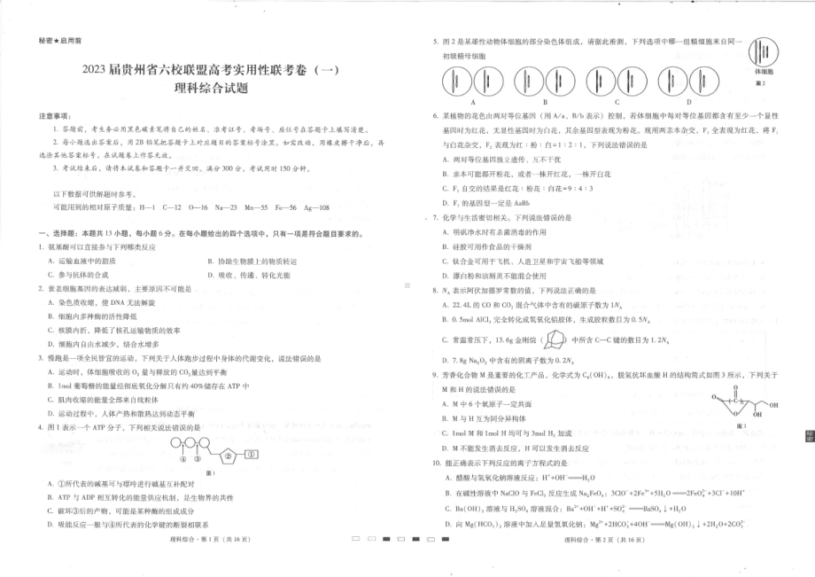 贵州省六校联盟2023届高三上学期高考实用性联考（一）理综试题.pdf_第1页