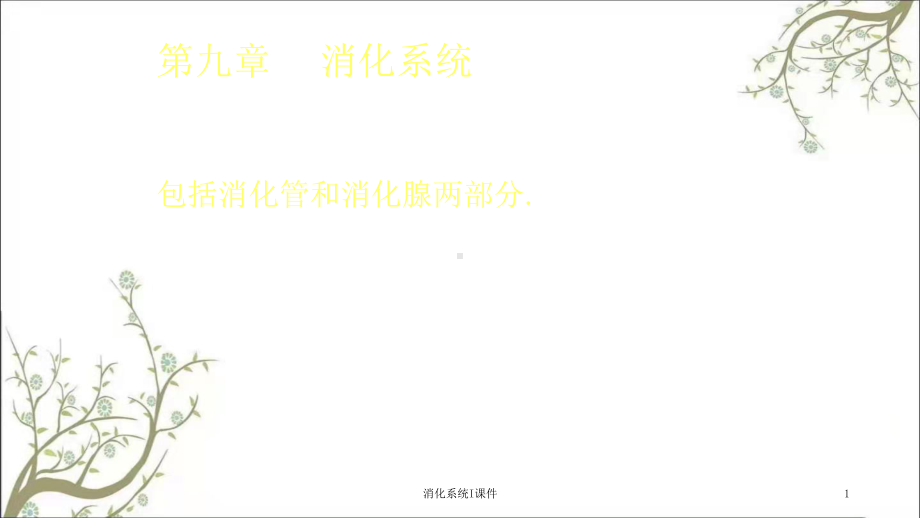 消化系统I课件.ppt_第1页