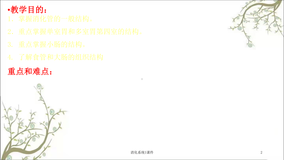 消化系统I课件.ppt_第2页