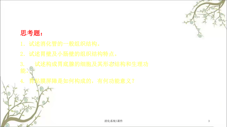 消化系统I课件.ppt_第3页