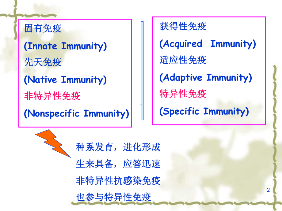 疫应答五固有免疫课件.ppt_第2页