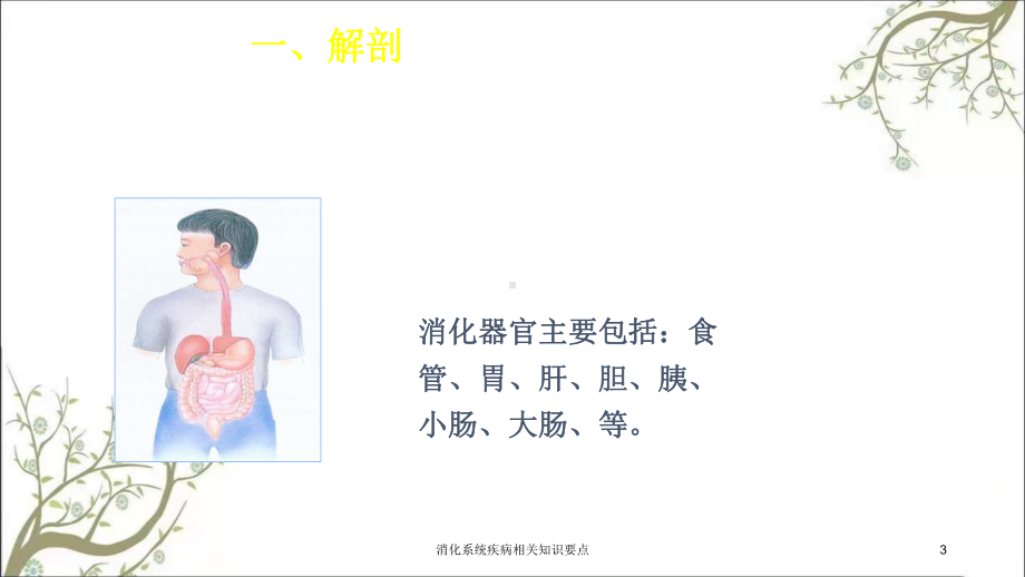 消化系统疾病相关知识要点课件.ppt_第3页