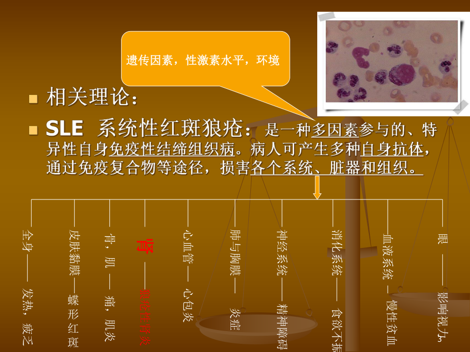 狼疮性肾炎教学查房课件.ppt_第3页