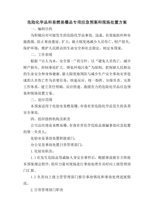 危险化学品和易燃易爆品专项应急预案和现场处置方案参考模板范本.doc