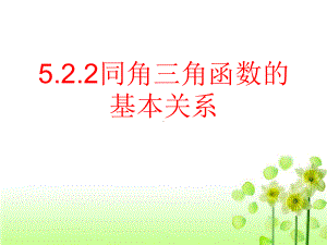 5.2.2同角三角函数的基本关系ppt课件-2022新人教A版（2019）《高中数学》必修第一册.pptx