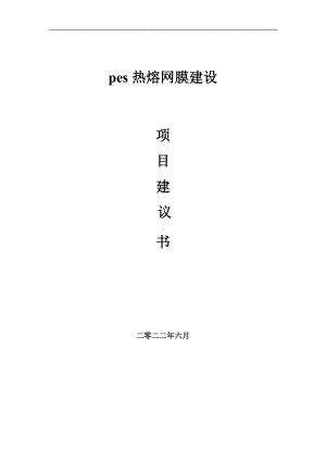 pes热熔网膜项目建议书（写作模板）.doc