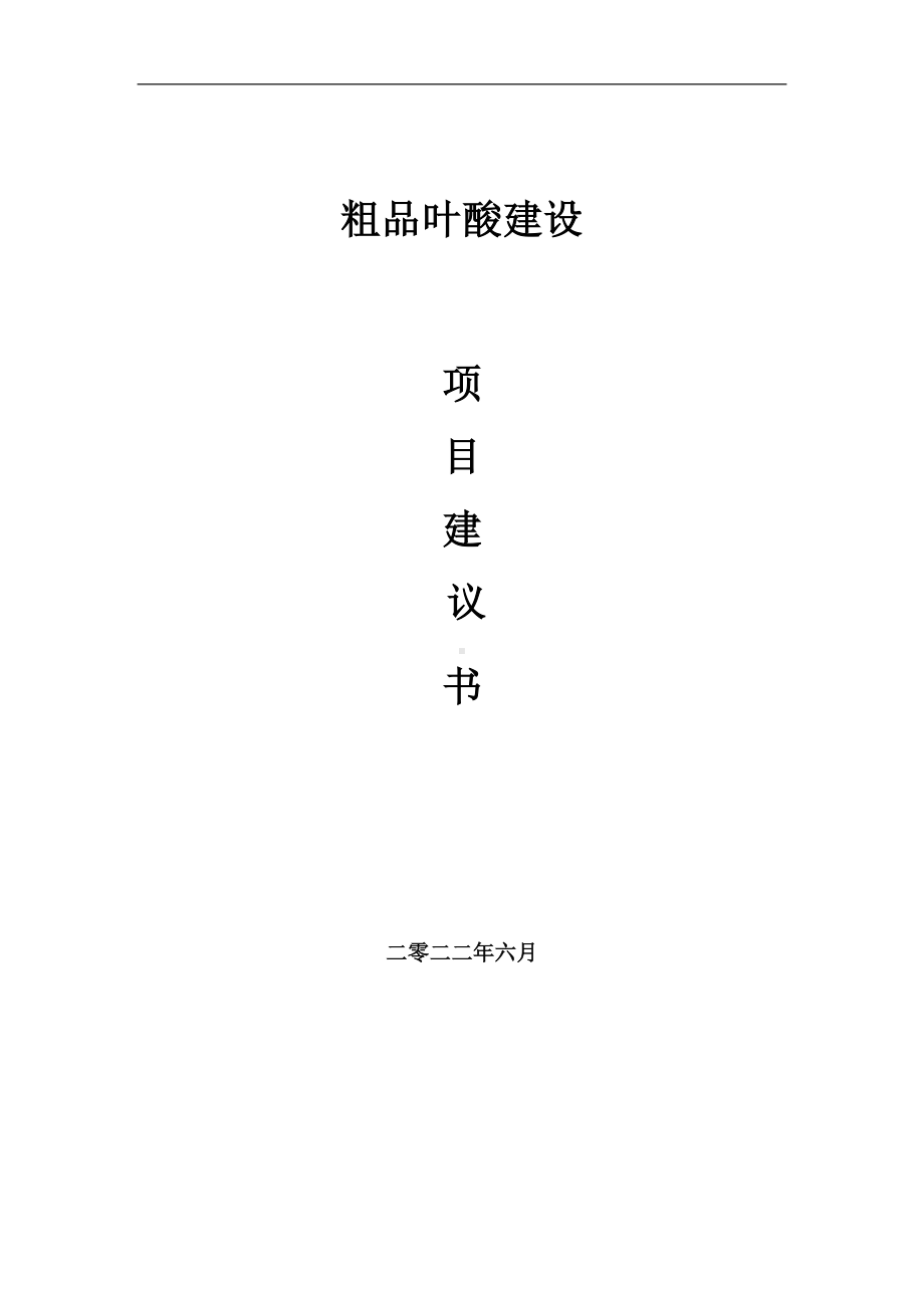 粗品叶酸项目建议书（写作模板）.doc_第1页