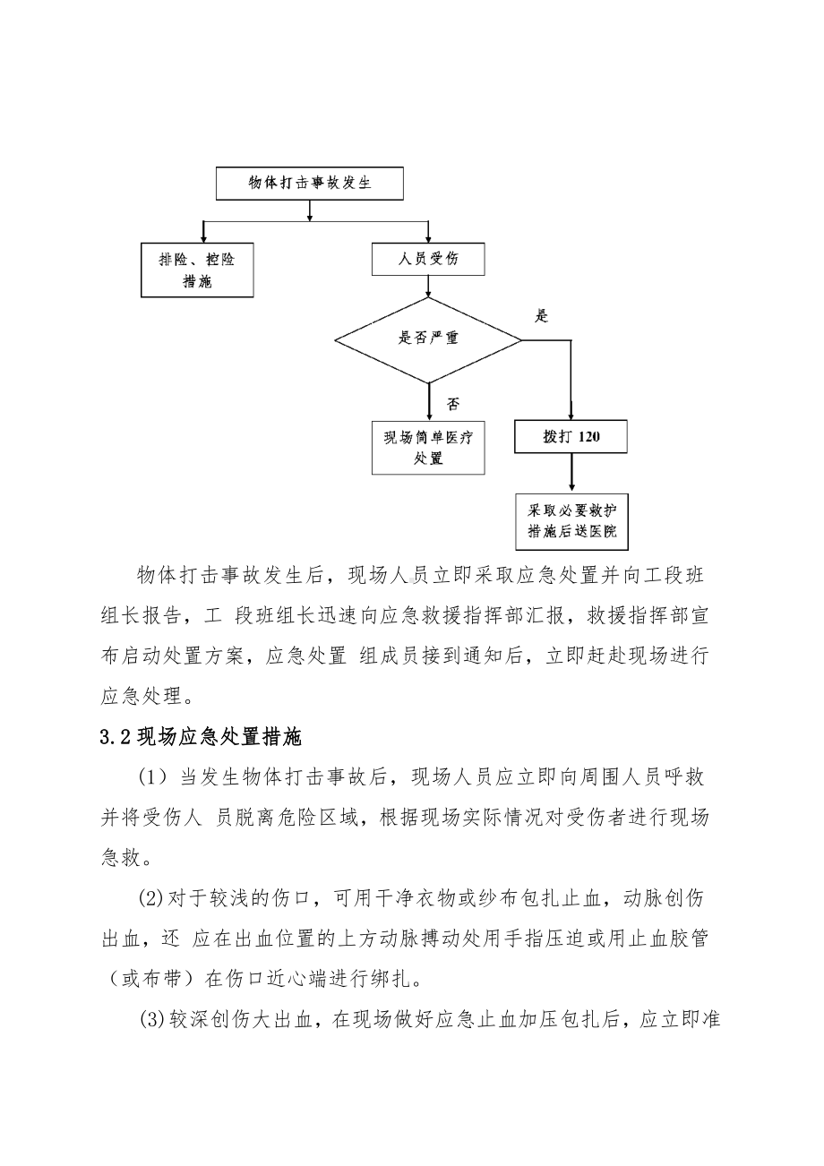 物体打击事故现场处置方案模板范本.doc_第3页