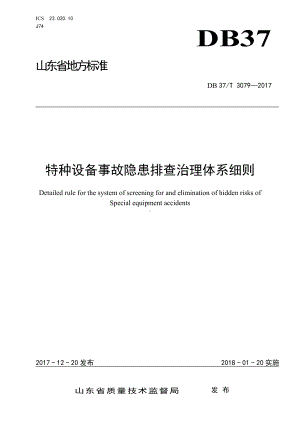 特种设备事故隐患排查治理体系细则参考模板范本.doc