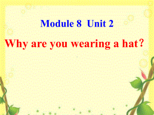 外研版(三起)六下英语：M8U2 Why are you wearing a hat？课件.ppt（纯ppt,无音视频）