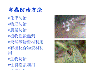 害虫防治方法课件.ppt