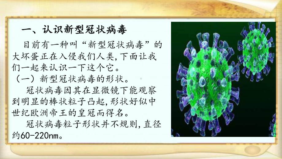 大班科学《我们身边的病毒》微课件.pptx_第3页