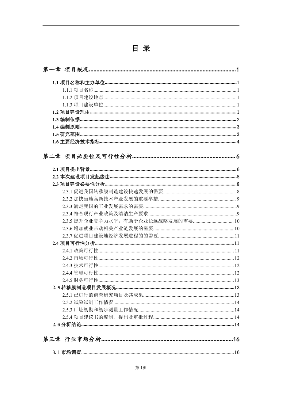 转移膜制造项目建议书（写作模板）.doc_第2页