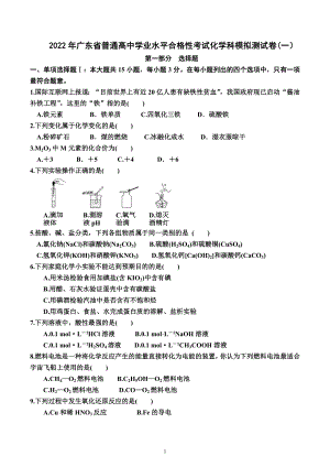 2022年广东省普通高中学业水平合格性考试化学科模拟测试卷.docx