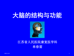 大脑结构与功能课件.ppt