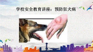 学校安全教育讲座：预防狂犬病课件.pptx