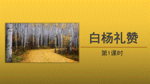 （教学课件）白杨礼赞第1课时精品课件.pptx