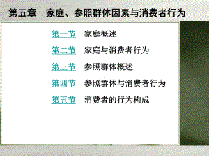 家庭参照群体因素与消费者行为讲义课件.pptx