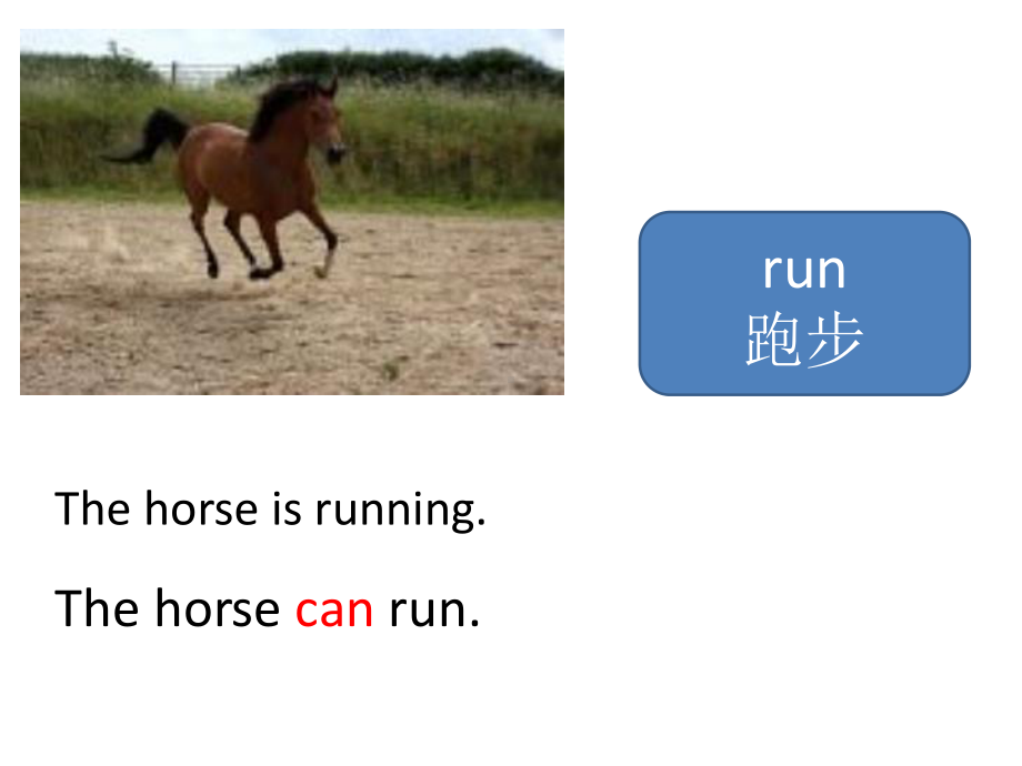 外研版四年级上册英语M5U1 Can you run fast？课件.pptx（纯ppt,无音视频）_第3页