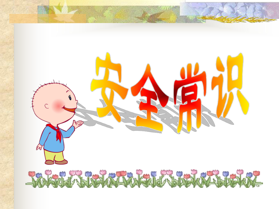 安全教育3课件.ppt_第1页