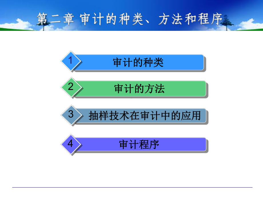 审计学审计的种类、方法和程序课件.pptx_第2页