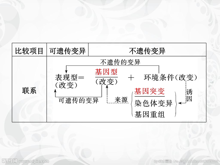 基因突变、基因重组和染色体变异课件.pptx_第3页