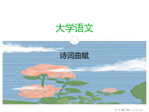 大学语文 专升本诗词曲赋课件.ppt