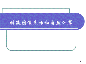 稀疏图像表示和自然计算学习培训课件.ppt