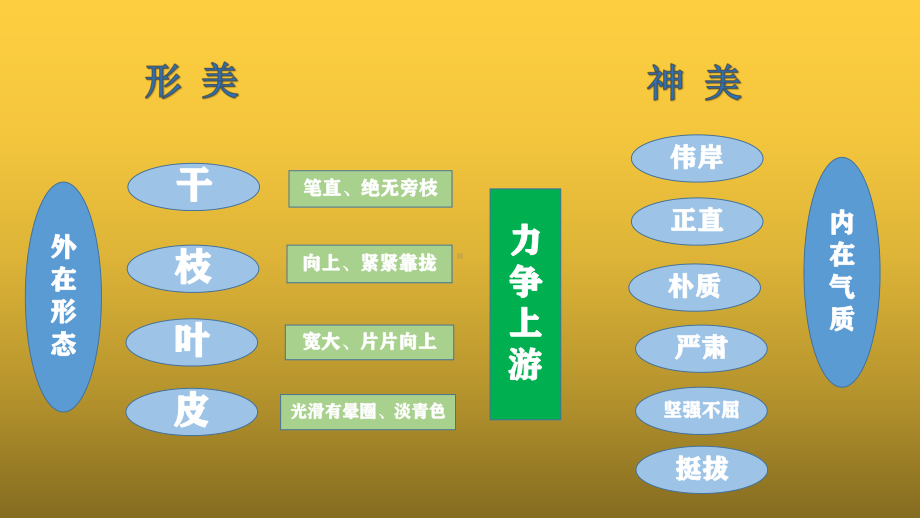 通过白杨礼赞学习象征手法教学课件.pptx_第3页