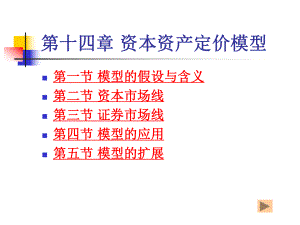 大学课件： 资本资产定价模型.ppt