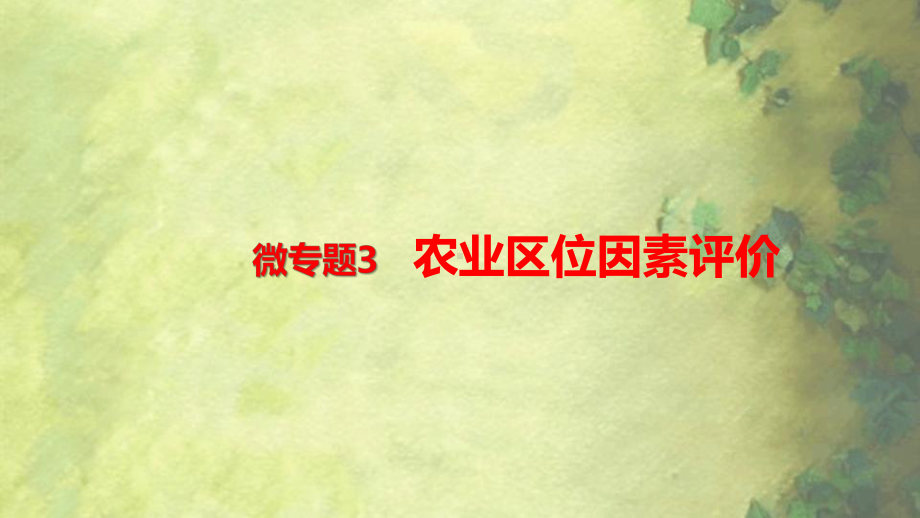 新教材高中地理必修二 第三章 微专题3 农业区位因素评价课件.pptx_第1页