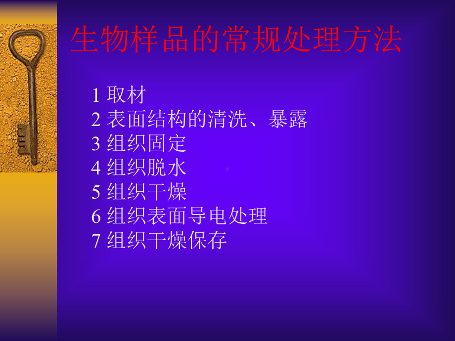 扫描电镜样品制备技术教学课件.ppt_第3页