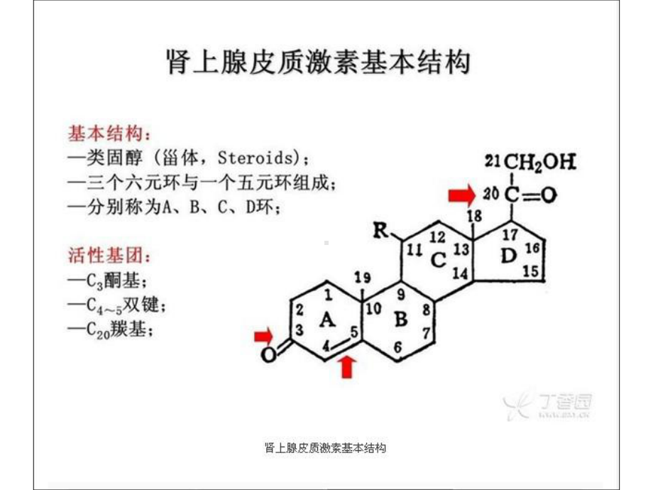 常用糖皮质激素类药物的临床应用课件.pptx_第3页