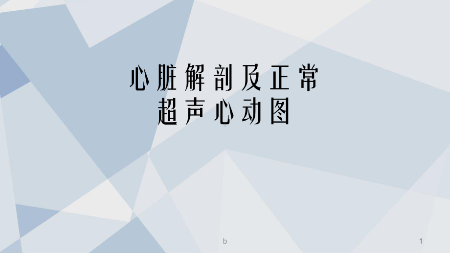 心脏解剖及正常超声心动图课件.ppt_第1页