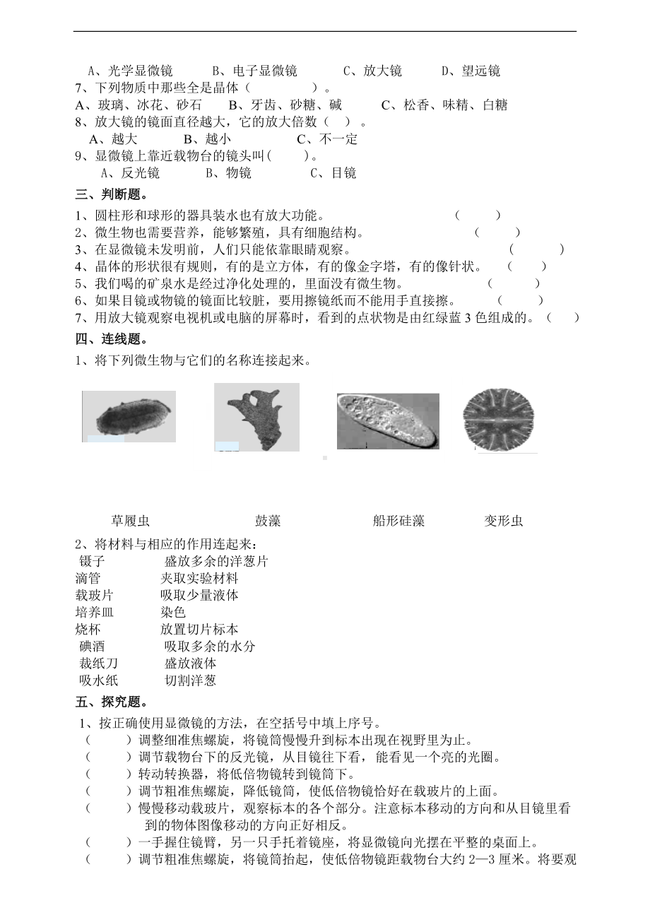 教科版六年级下册第一单元复习题（一）含答案.doc_第2页