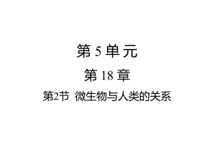 微生物与人类的关系课件 初中生物课件 八年级生物课件.pptx