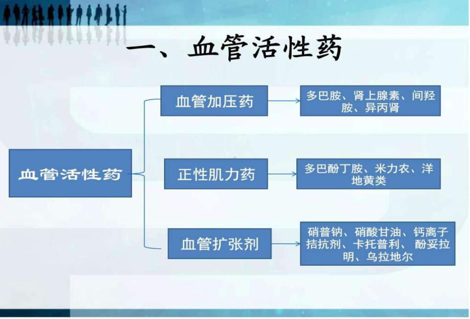 心脏外科常用血管活性药物的使用及注意事项课件.ppt_第3页