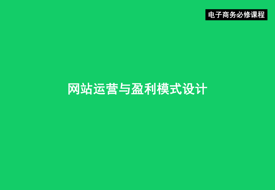 当前主流网站盈利模式分析和网络运营模式可行性报告(2021年)课件.pptx_第3页