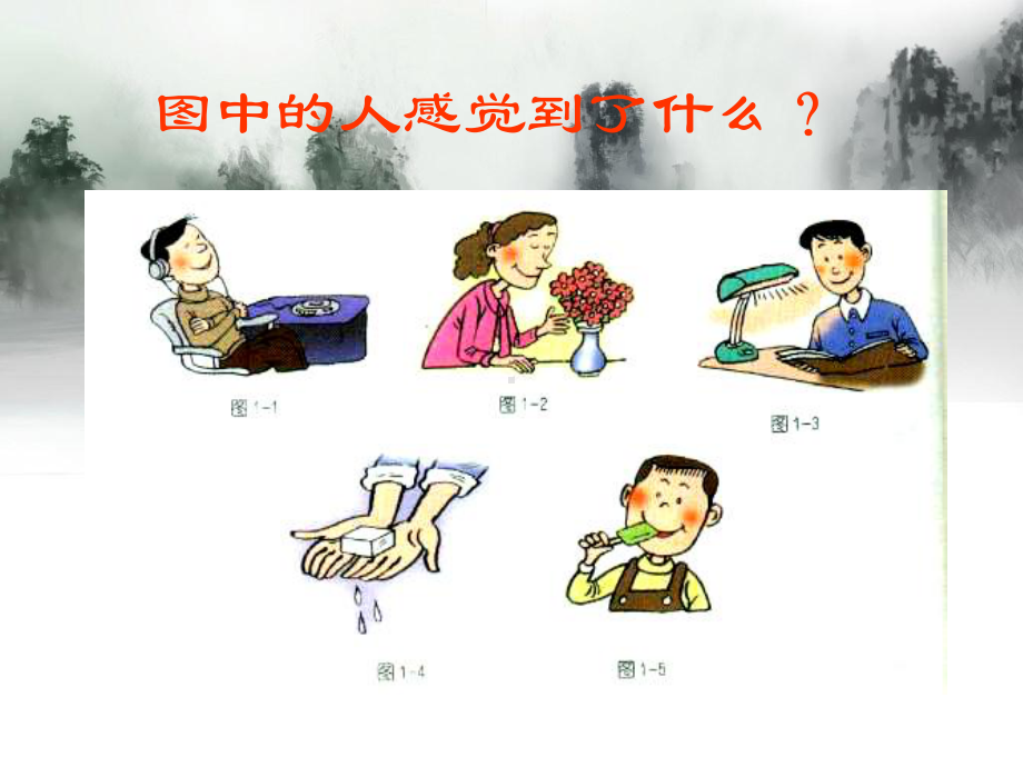 常见感觉和感觉器官课件.ppt_第2页