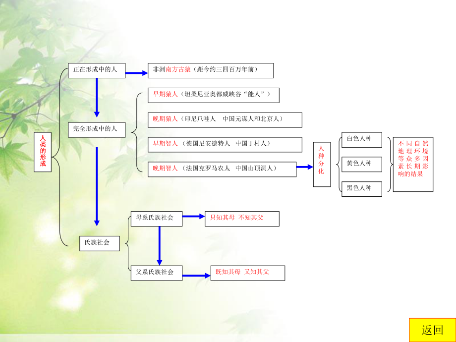 新部编人教版九年级历史上册《总复习》教学课件.ppt_第2页