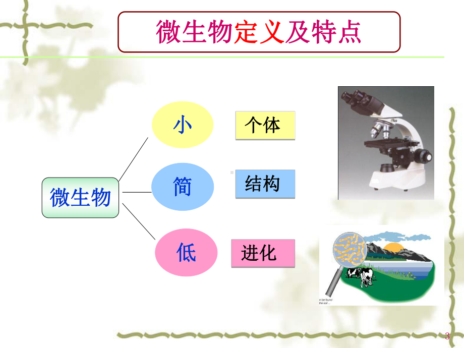 微生物检验基础知识课件.ppt_第3页