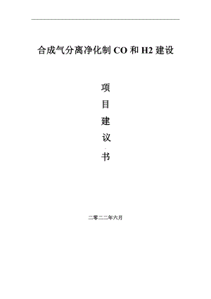 合成气分离净化制CO和H2项目建议书（写作模板）.doc