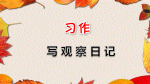 小学语文四年级上册：习作：写观察日记课件 部编人教版.ppt