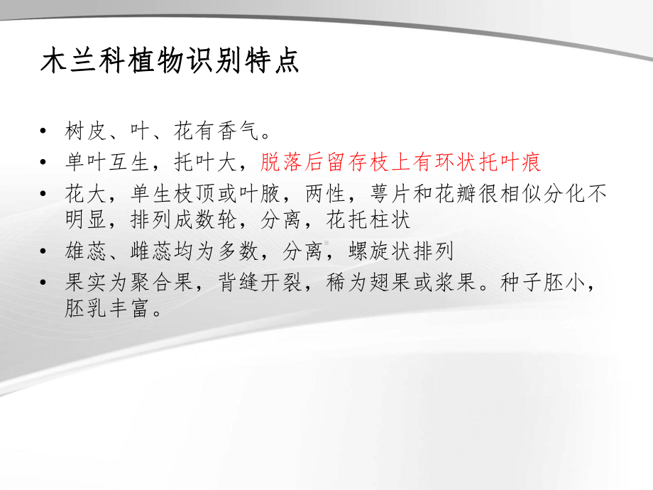 常见木兰科植物的识别课件.ppt_第2页