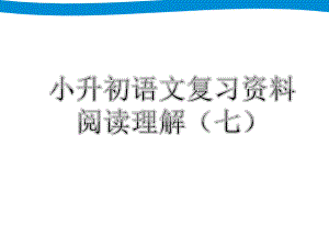 小升初语文专项复习七 阅读理解课件.ppt