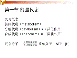 异柠檬酸裂合酶苹果酸合成酶微生物独特合成代谢途径举例一课件.ppt