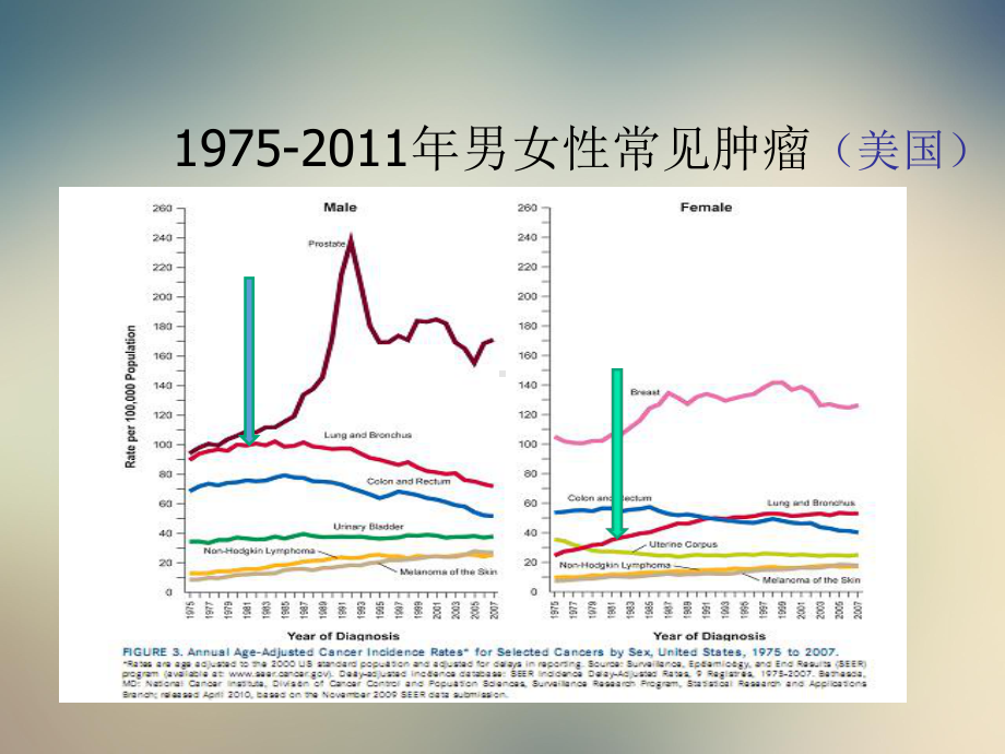 晚期肺癌的治疗的新模式课件.ppt_第3页