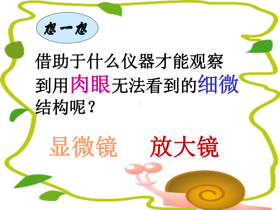 探索生命的器具课件.ppt_第3页