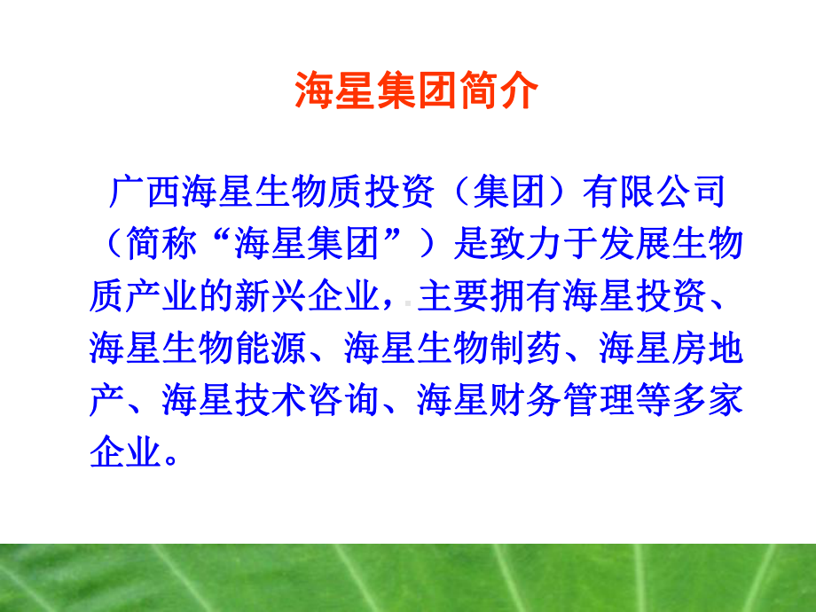 广西生物质产业基地策划方案.ppt_第3页