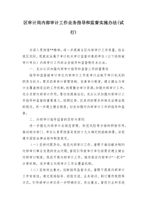 审计内部审计工作业务指导和监督施行举措.docx